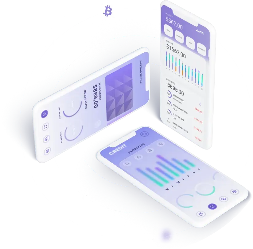 VelmiorixPro - Enhancing Fiscal Accessibility through VelmiorixPro
